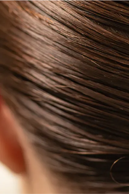 Home Hero Banner Mobile